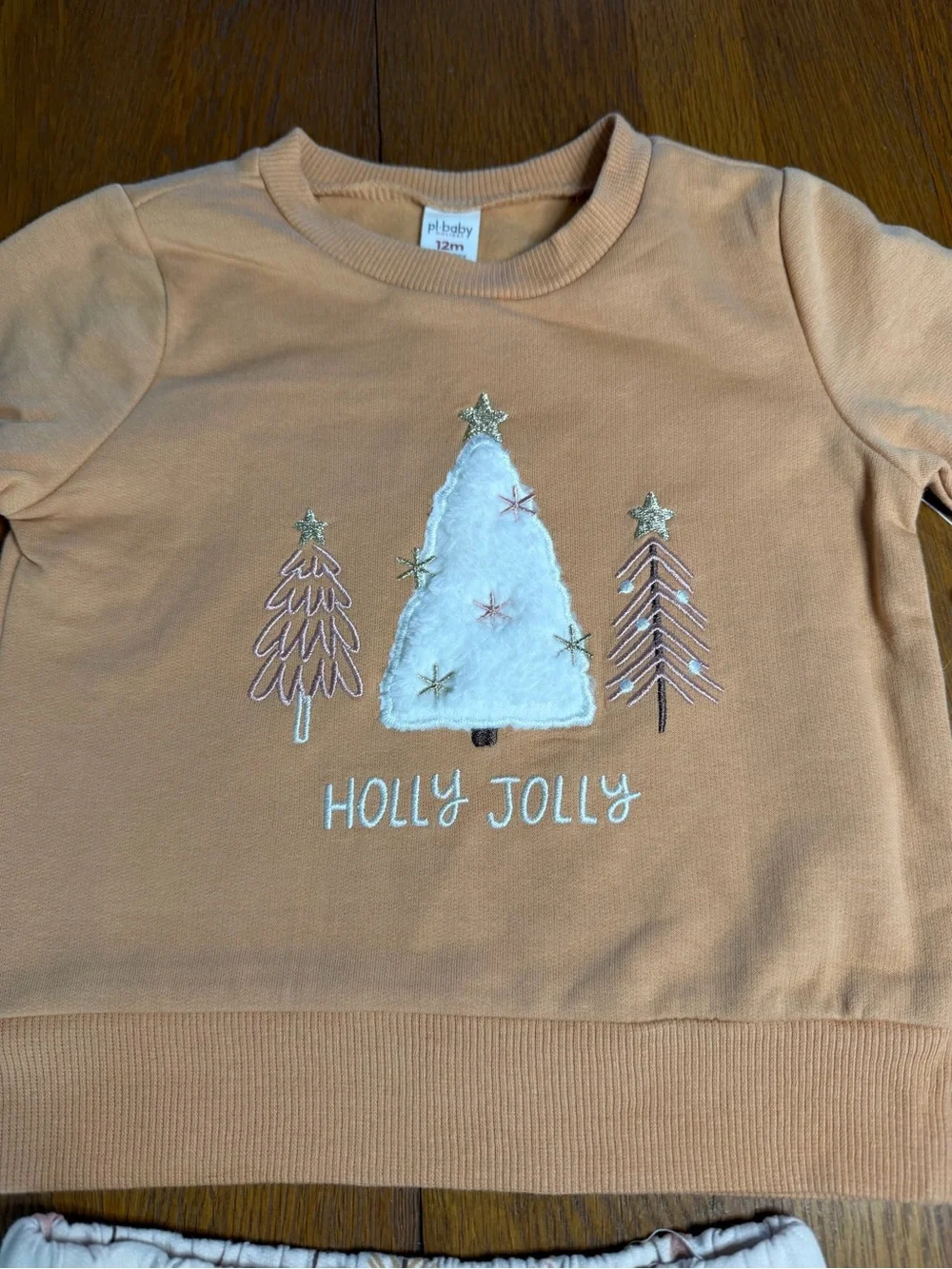 Girl’s 12 Month Christmas Outfit Set - NWT